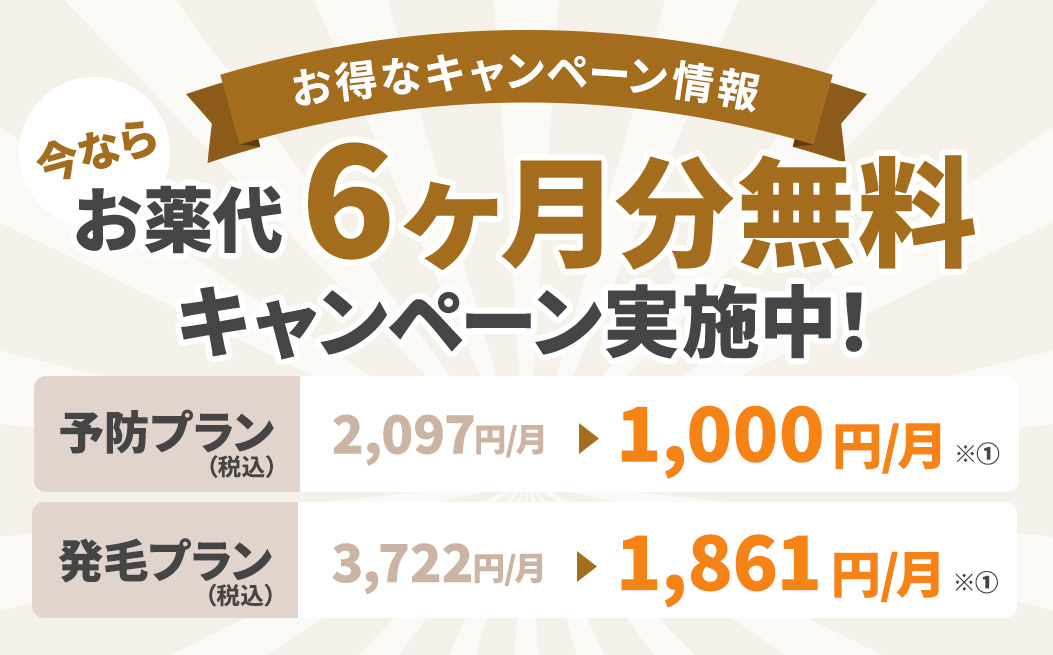 キャンペーン画像